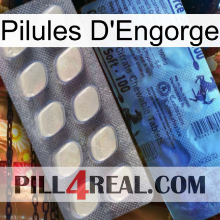 Engorge Pills 34